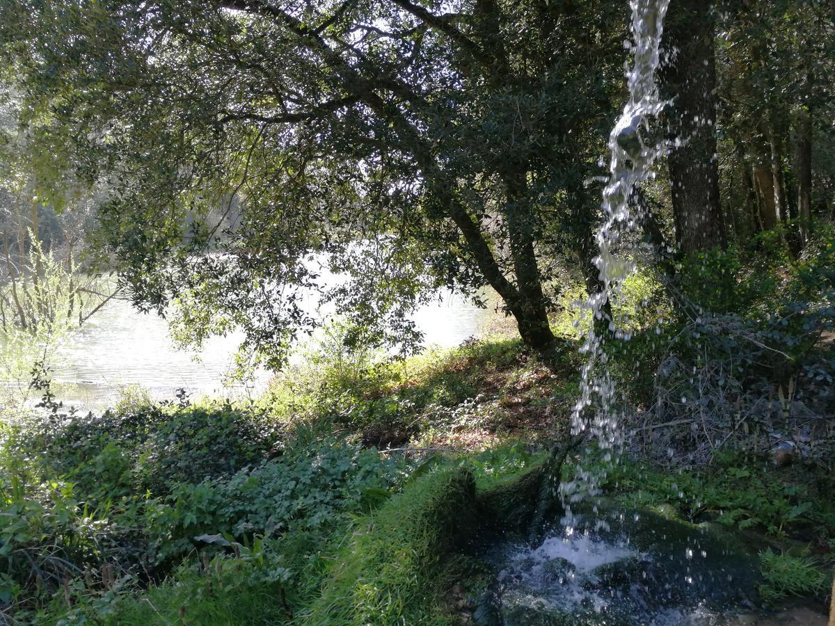 Vacanze Verde Mare - Beggi كاسال ماريتيمو المظهر الخارجي الصورة